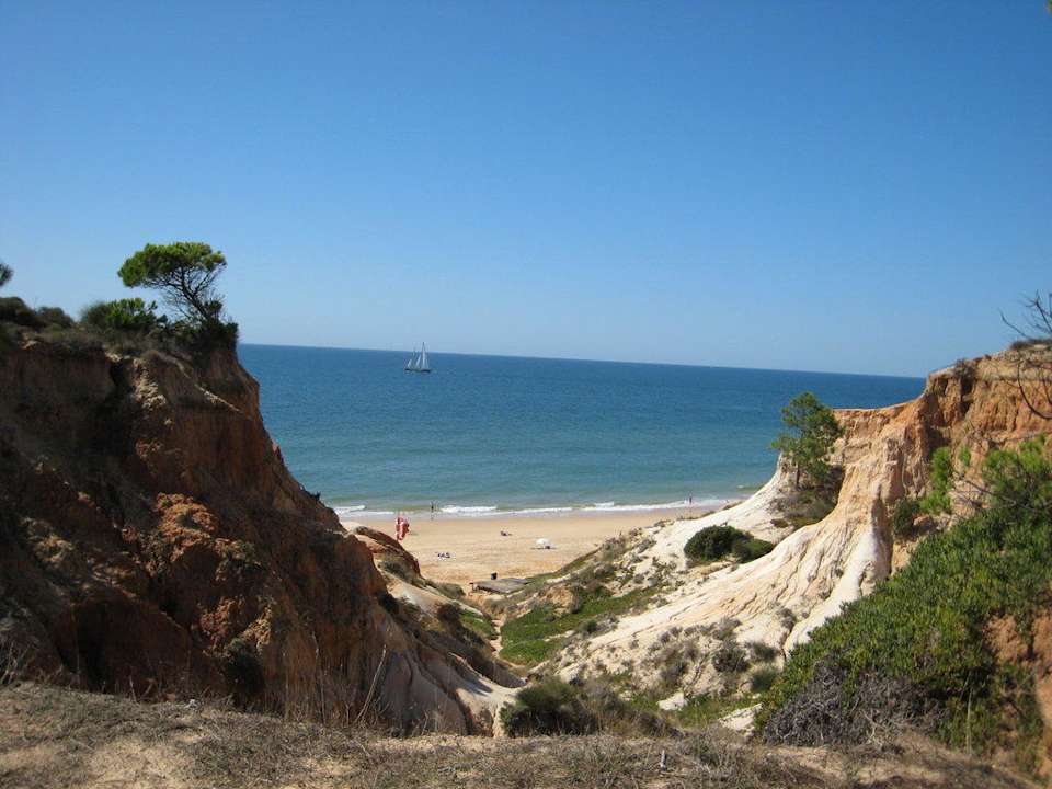 Nur Minuten vom Hotel - Richtung Albufeira Algarve Gardens