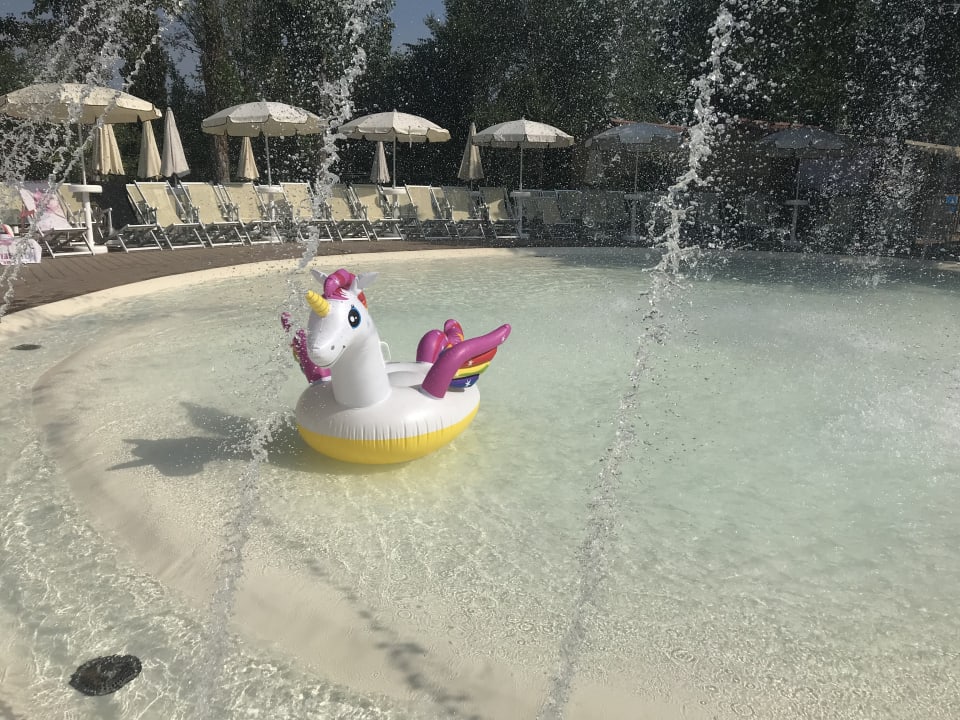 Pool Altomincio Family Park