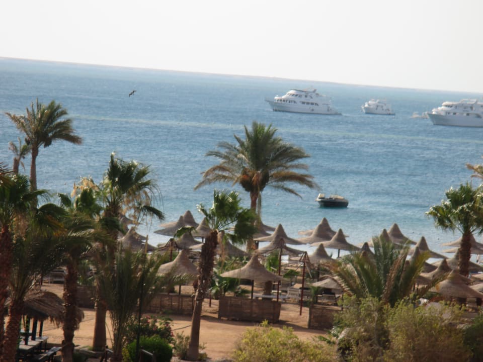 Ausblick Giftun Azur Resort