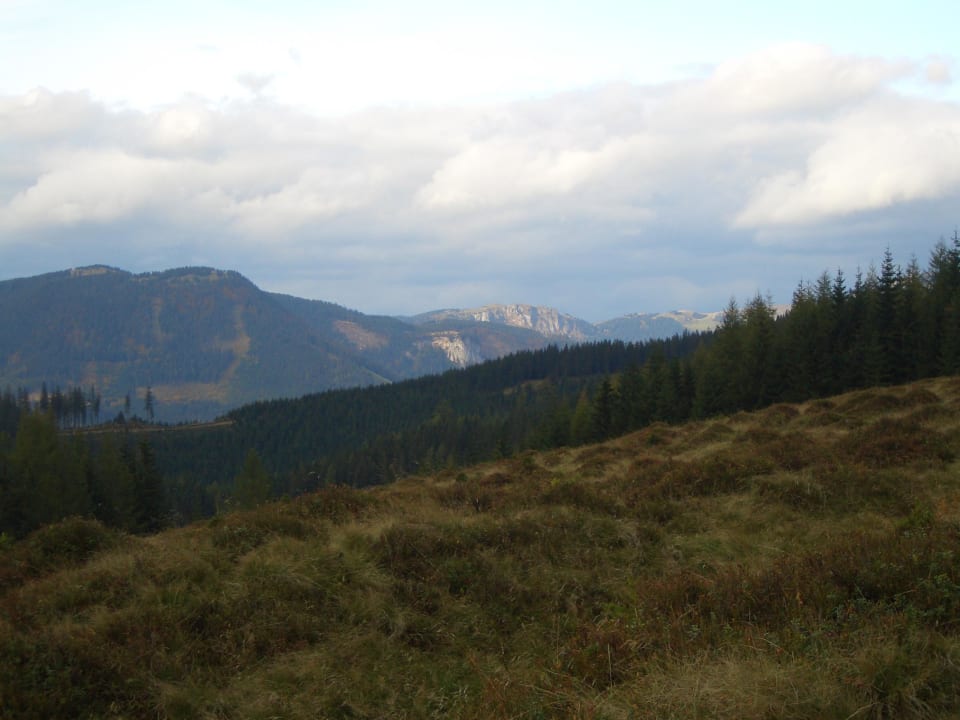 Wandern in der Waldheimat Gasthof Sagbauer