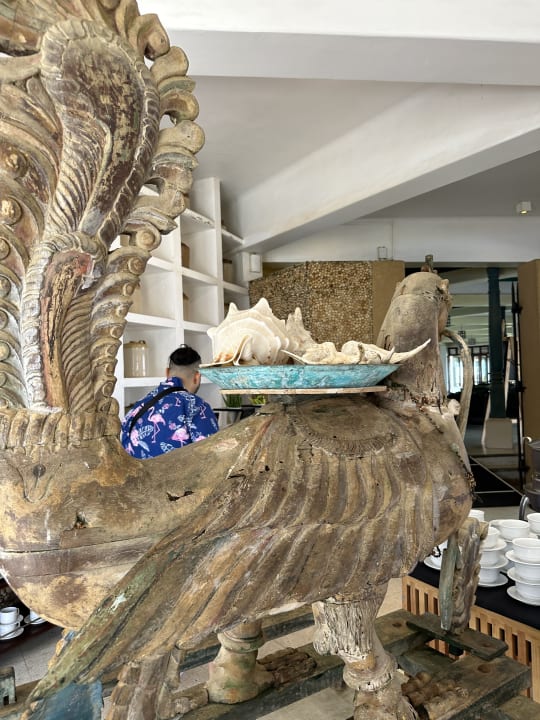 Gastro Tangerine Beach Hotel