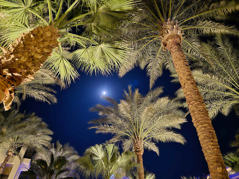 Ausblick Steigenberger Aqua Magic