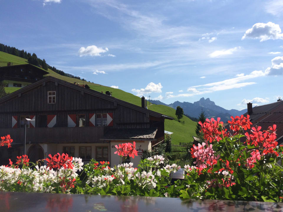 Ausblick Glätzle`s Ferienhaus
