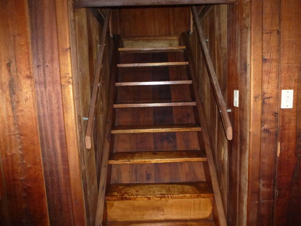 Diese Hühnerleiter führt zu unserem Zimmer Hotel Sachatamia Lodge