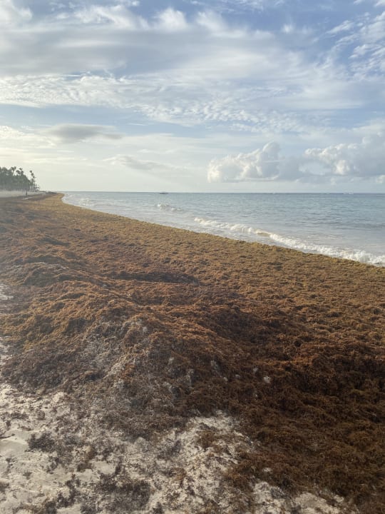 Strand Hotel Riu Palace Punta Cana