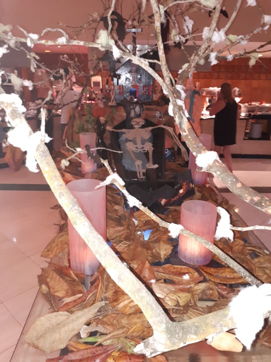 Gastro Bahia Principe Grand El Portillo