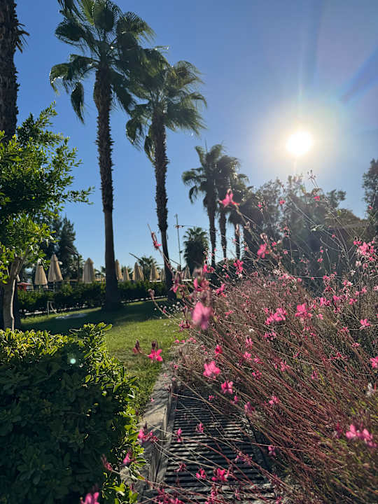 Gartenanlage Club Sidelya Hotel