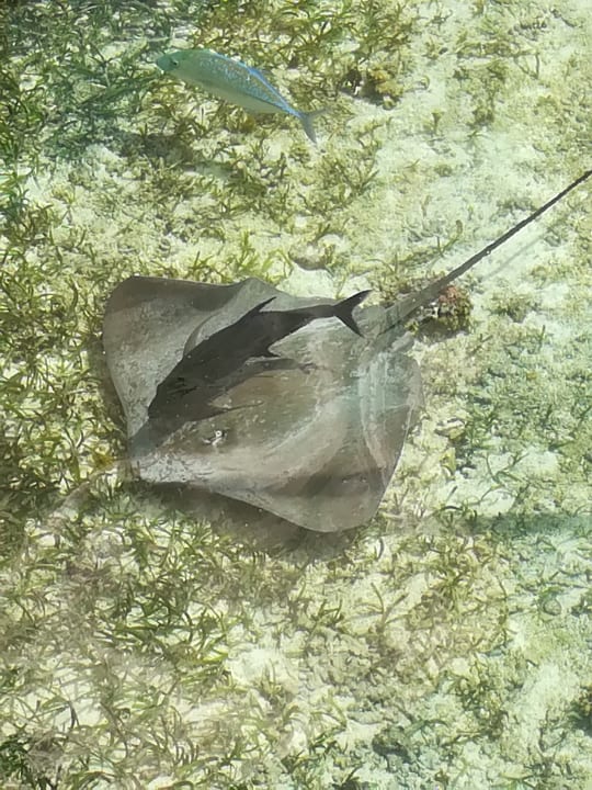 Strand Adaaran Select Hudhuran Fushi - Premium All Inclusive