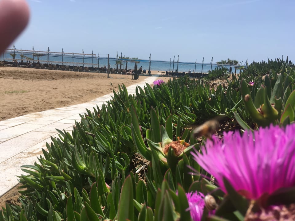 Strand Club Grand Side