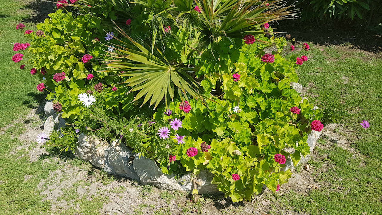 Garten Hotel Kalithea Horizon Royal