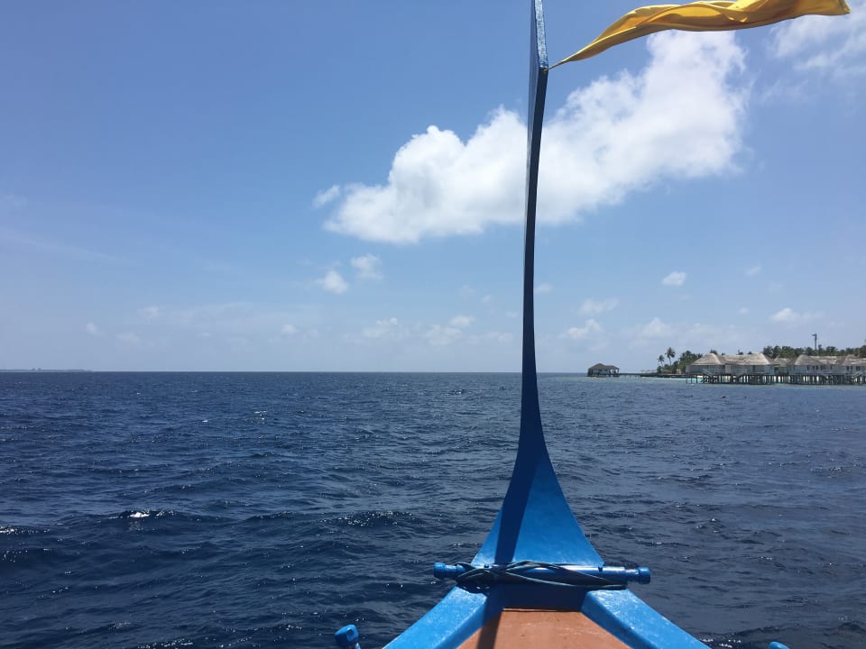 Sport & Freizeit Outrigger Maldives Maafushivaru Resort