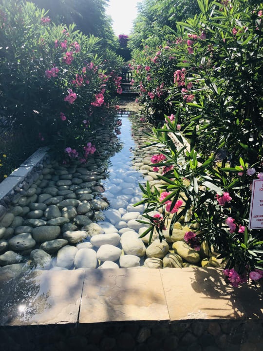 Gartenanlage Can Garden Beach