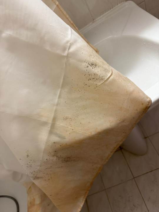 Zimmer Casa Di Notos Beach Hotel