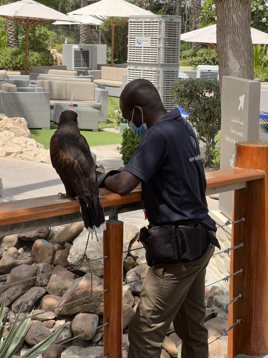 Sonstiges Hilton Dubai Jumeirah