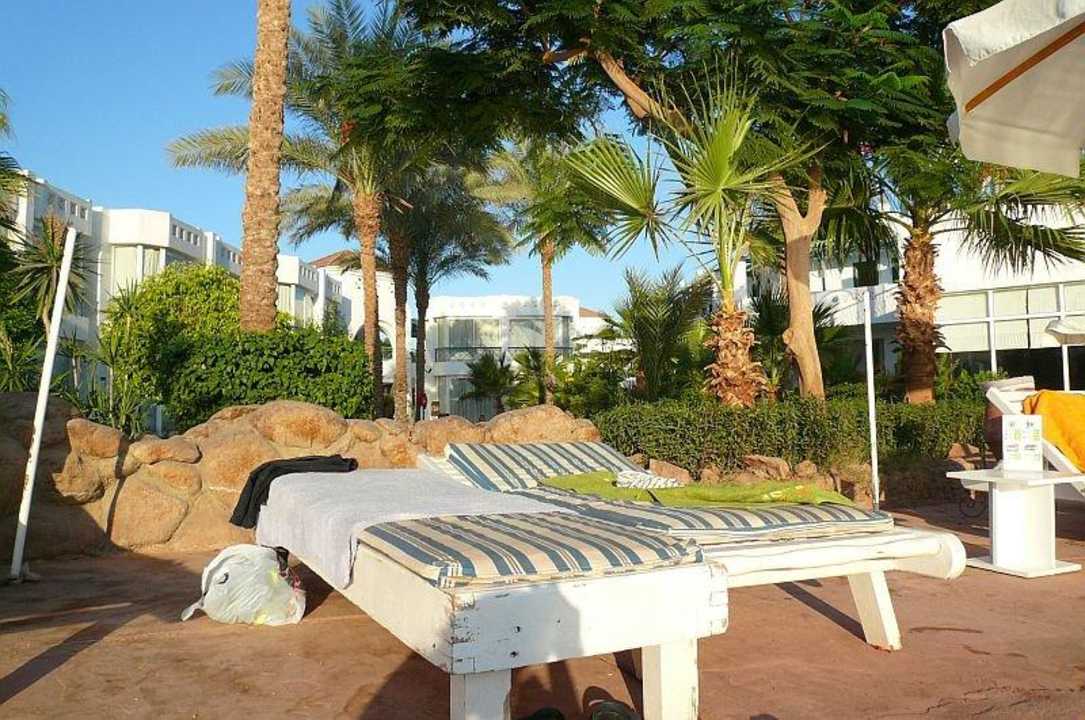 Jakość leżaków Hotel Amarante Garden Palms Resort