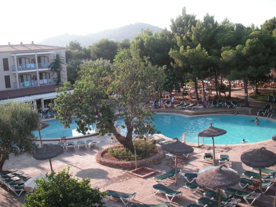 Blick aus unserem Apartment Protur Floriana Resort Aparthotel