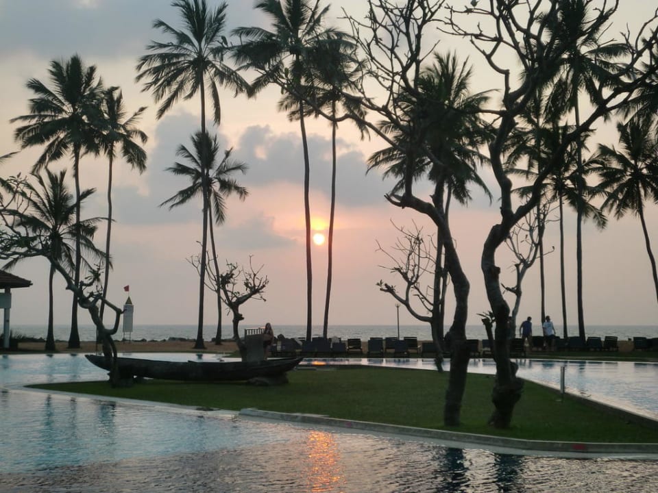 Pool am Abend Club Hotel Dolphin