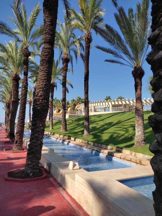 Gartenanlage Monachus Family Resort Sorgun