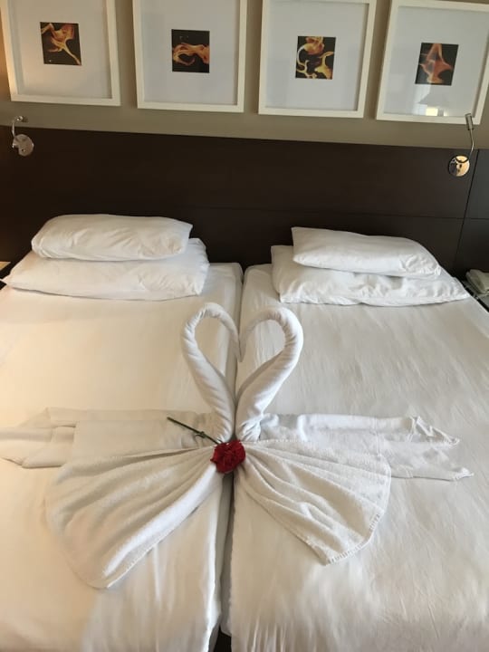 Zimmer Arum Barut Collection