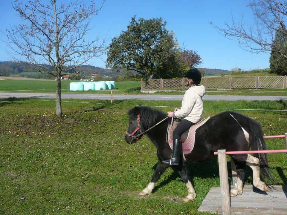 Ponyreiten Hotel Reiterhof Pichler und Nebenhäuser