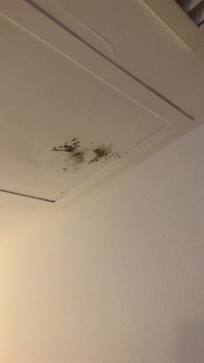 Zimmer Hotel Bella Playa & Spa