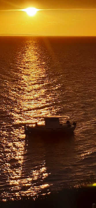 Ausblick Hotel Virginia