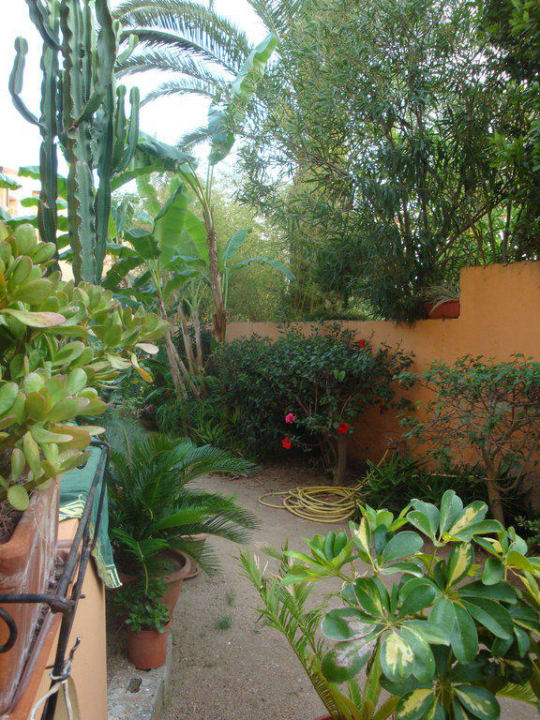 Garten vom Balkon Hotel Grotticelle