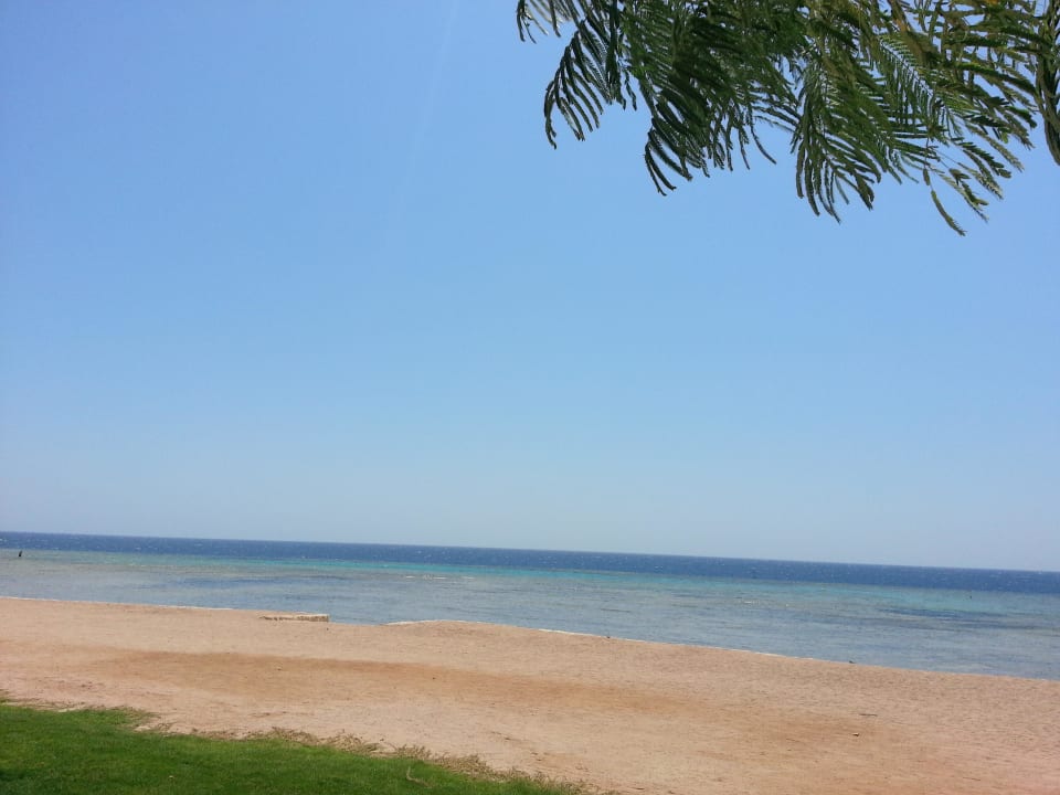 Strand Makadi Spa - Adults only