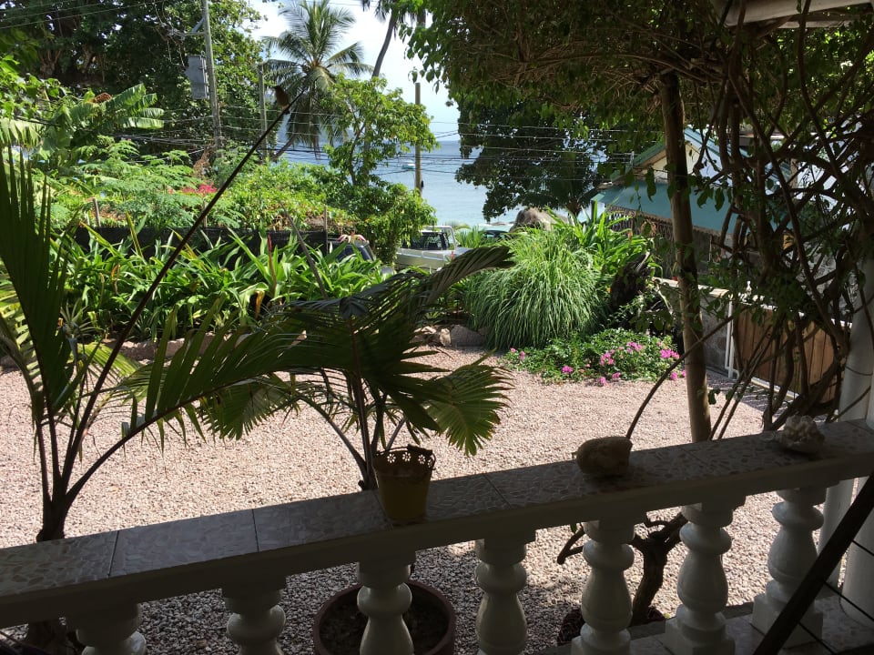 Gartenanlage Haus & Apartments Beau Bamboo