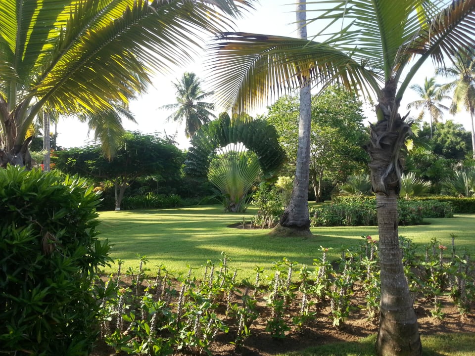 Der Park - ein Traum! TRS Turquesa Hotel - Adults only