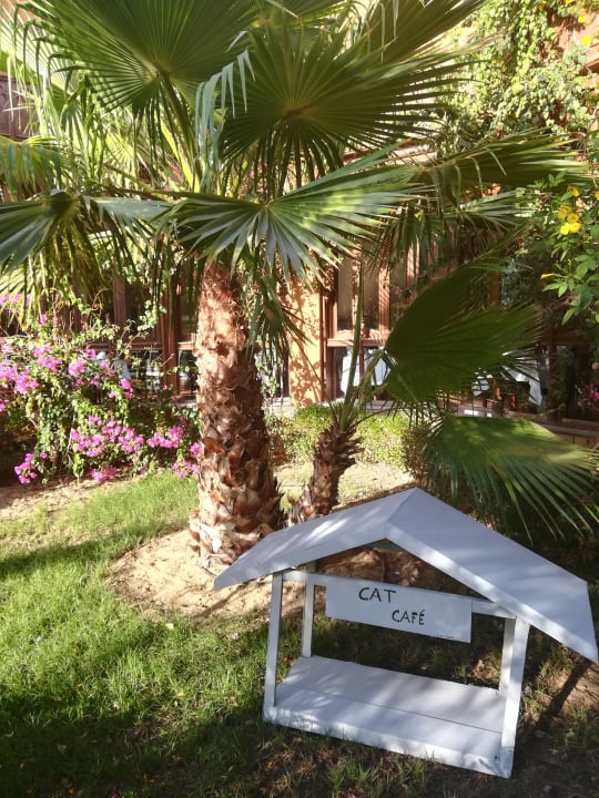 Sonstiges Dream Lagoon Resort & Aqua Park