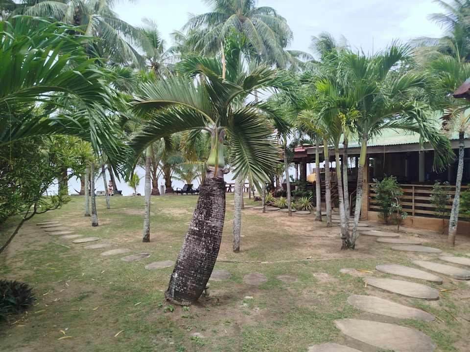Gartenanlage Charisma Beach Resort
