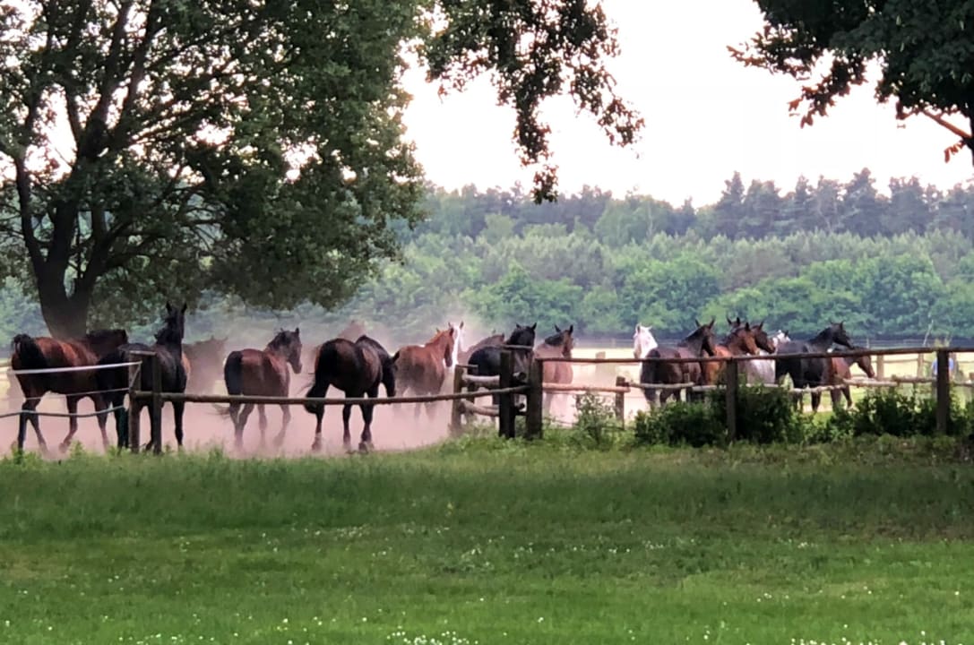 Gartenanlage Dworek Bielin