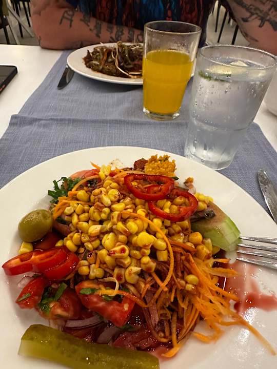 Gastro Seashell Vega