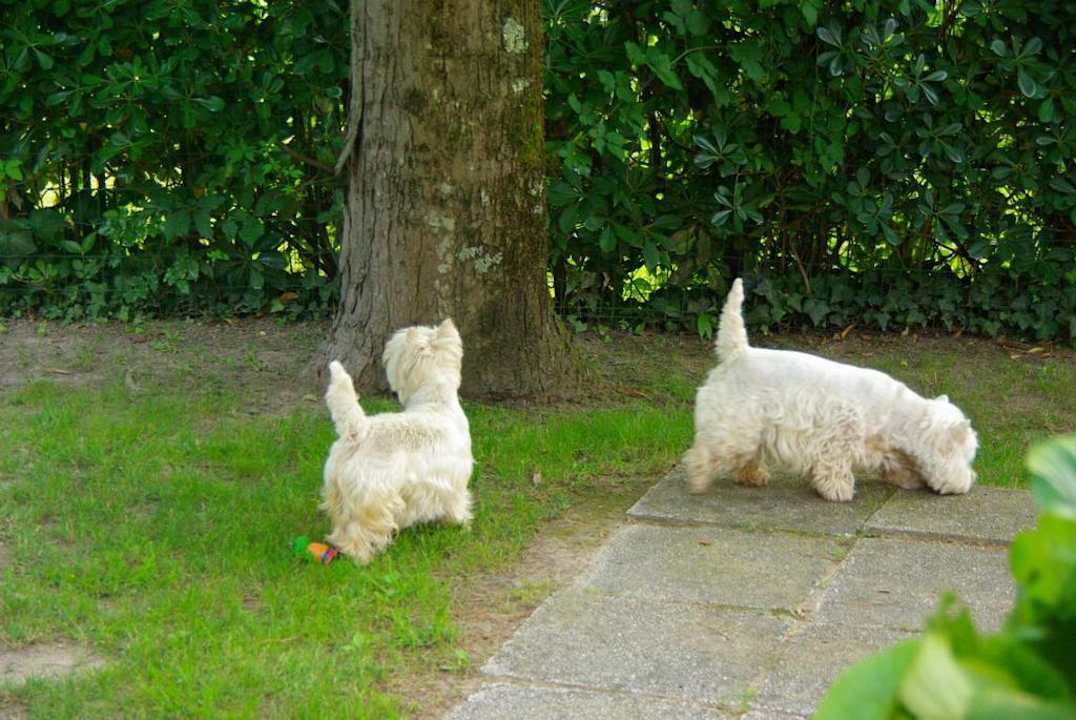Genau richtig für die Villa Erica