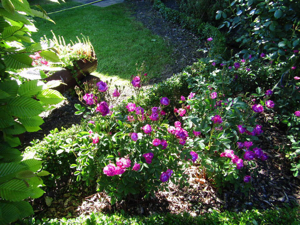 Gartenanlage Pension Hohaus