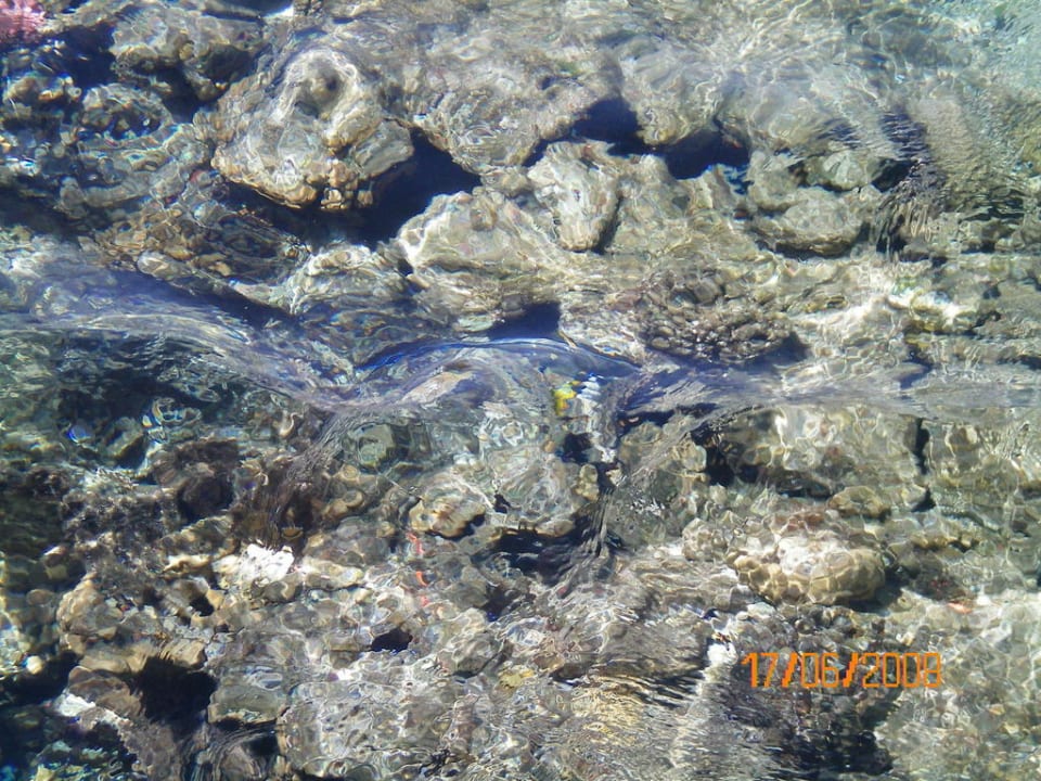 Blick ins Meer Steigenberger Coraya Beach - Adults only