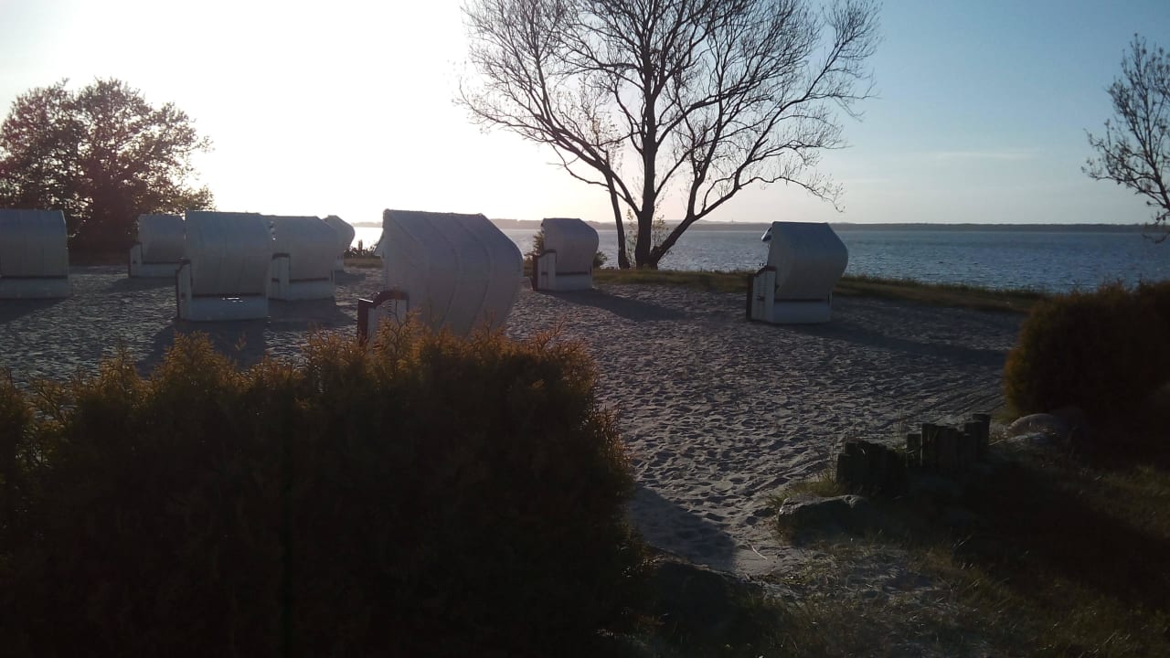 Strandkörbe am Meer AEDENLIFE Hotel & Resort Rügen
