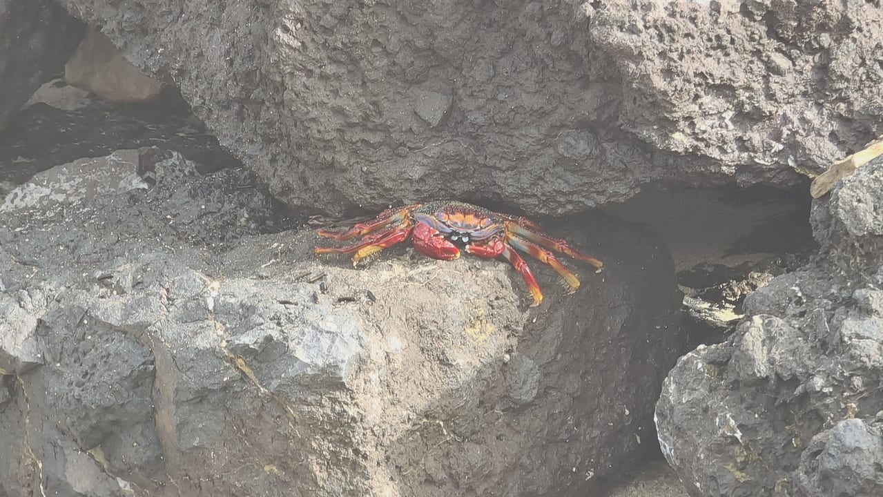 Strand H10 Playa Esmeralda - Adults only