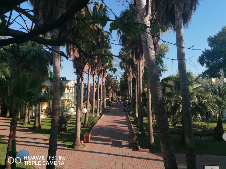 Gartenanlage VONRESORT Golden Beach