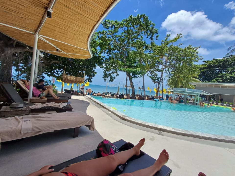 Pool The Fair House Beach Resort