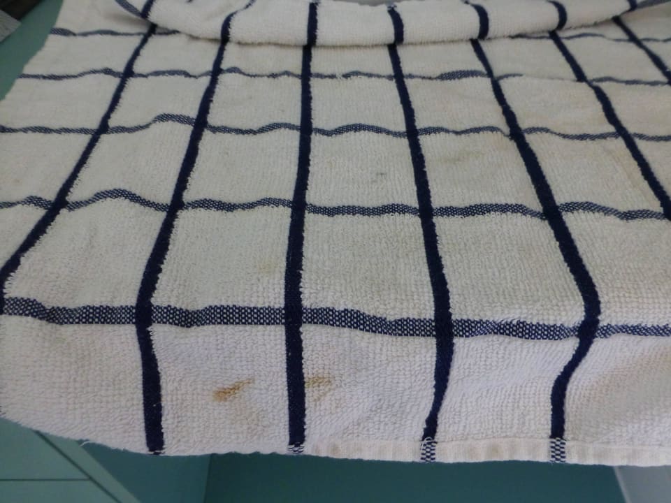 So sieht ein frisches Geschirrtuch aus... Hotel Whitsunday Terraces