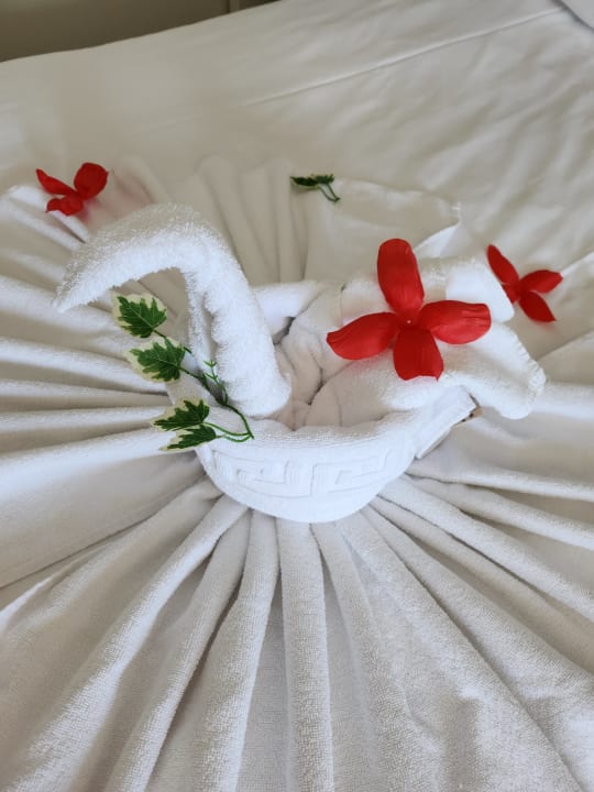 Zimmer Seaden Sea World Resort & Spa