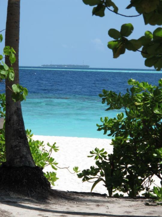Aussicht aus Bungalow Filitheyo Island Resort