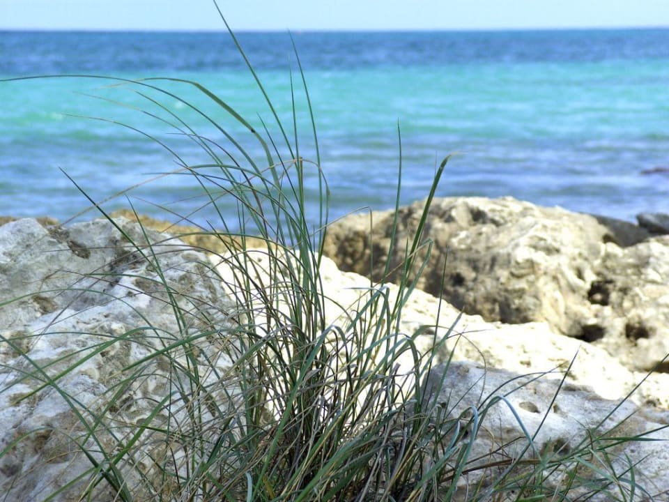 Jamaika Gras Grand Muthu Club Caribbean Runaway Bay