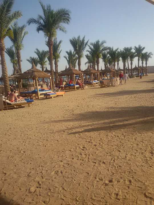 Der Strand lud ein auf bequemen Liegen zum Sonnenbad Pickalbatros Palace Resort