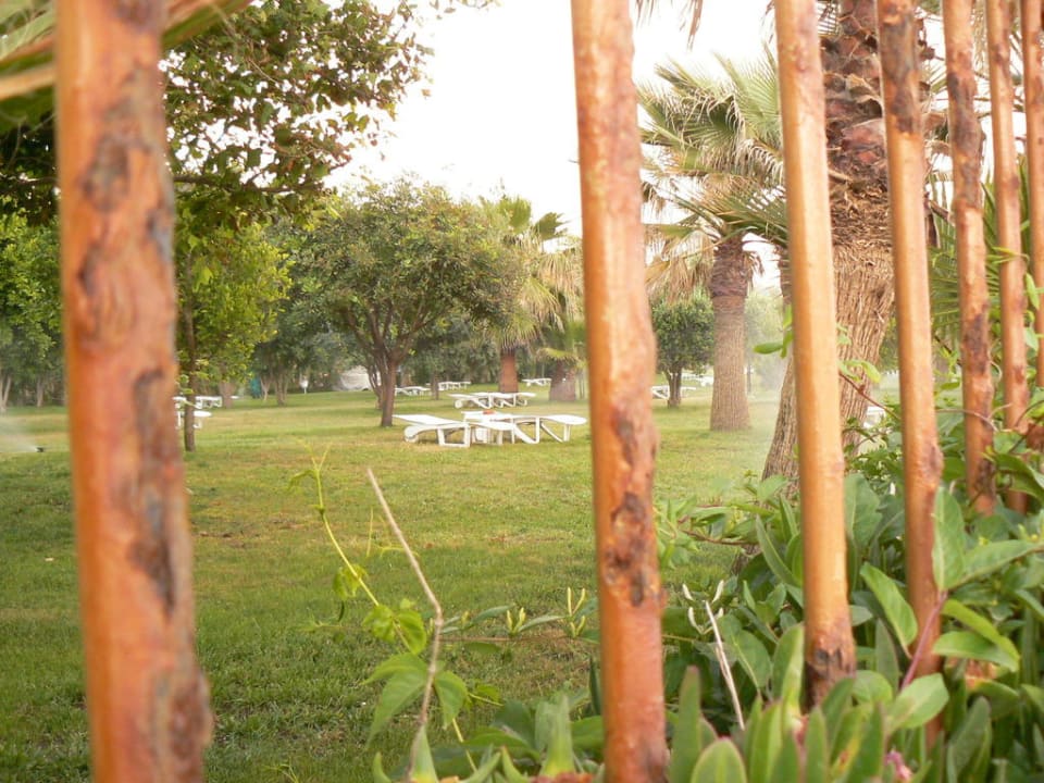 Gartenanlage Hotel Defne Dream