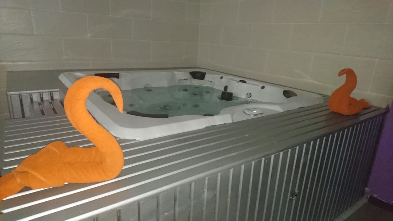 Sport & Freizeit Desert Rose