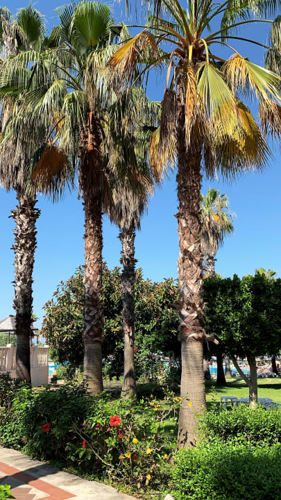 Gartenanlage Hotel Defne Star