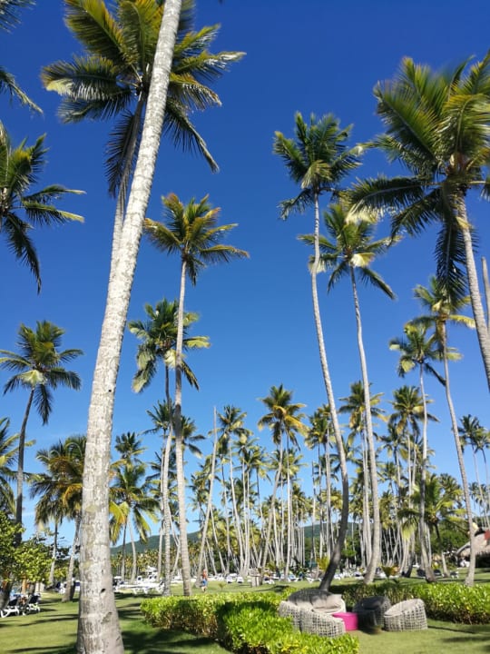 Ausblick Wyndham Alltra Samana